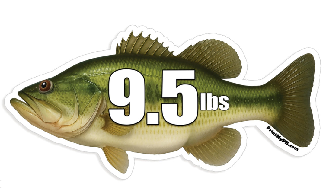 Largemouth Bass Products