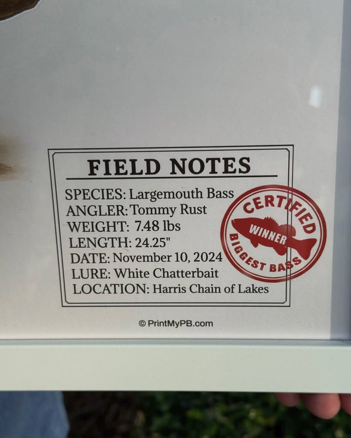FULL-SIZE Custom Largemouth Bass Personal Best Print - Vintage Field Guide Print