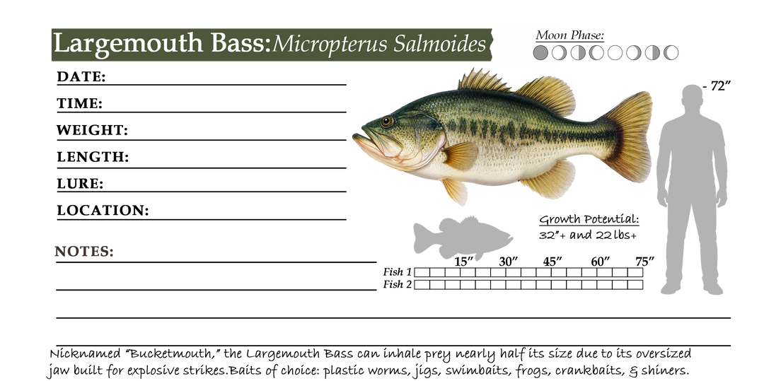 Bucket List Fish: Field Guide & Journal