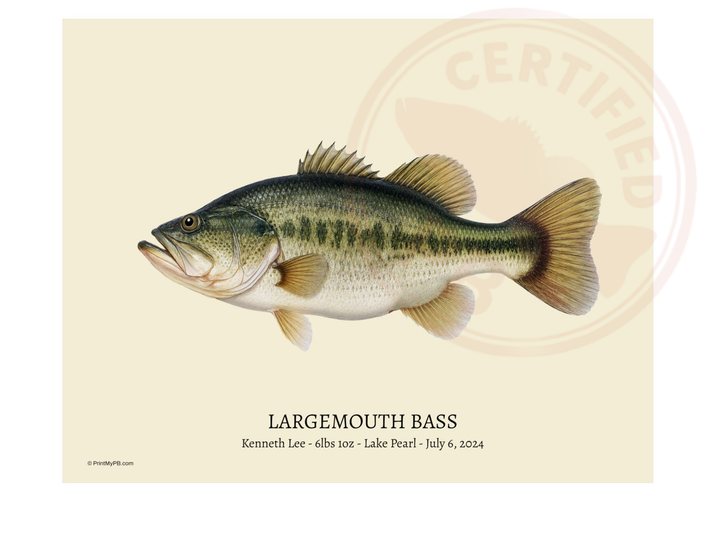 Largemouth Bass 11 x 14" PB Portrait Gallery