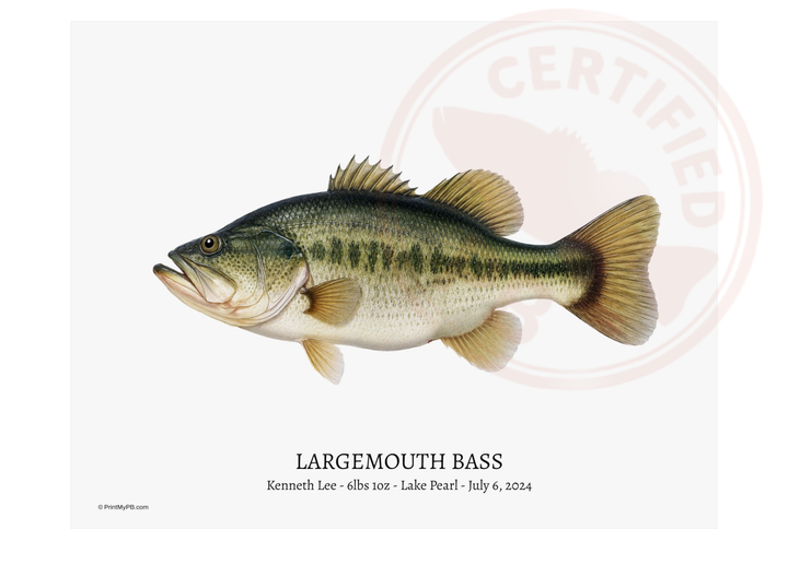Largemouth Bass 11 x 14" PB Portrait Gallery