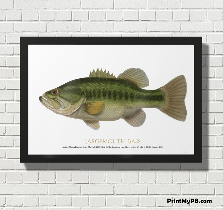 FULL-SIZE Custom Largemouth Bass Print