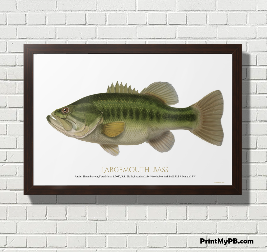 FULL-SIZE Custom Largemouth Bass Print