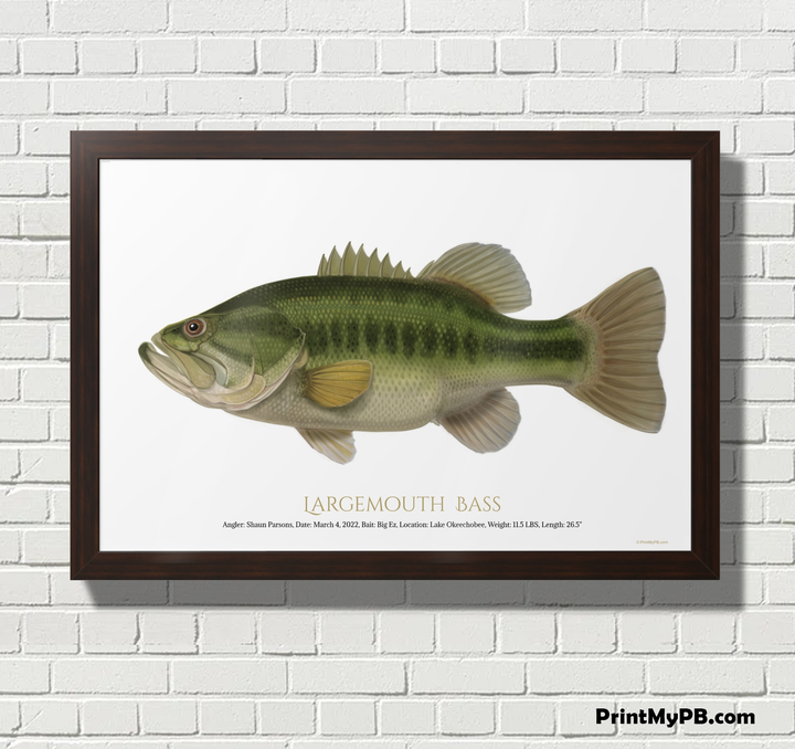 FULL-SIZE Custom Largemouth Bass Print