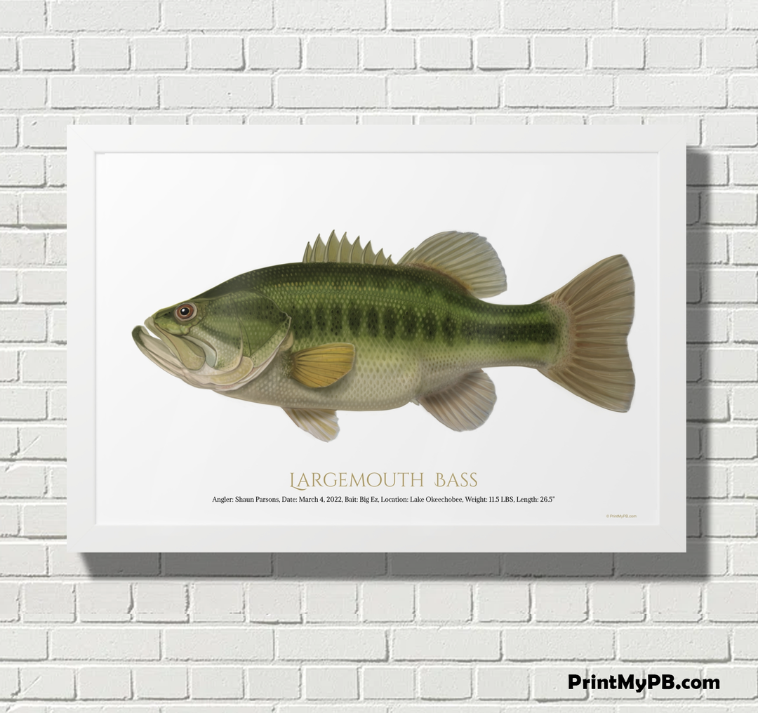 FULL-SIZE Custom Largemouth Bass Print