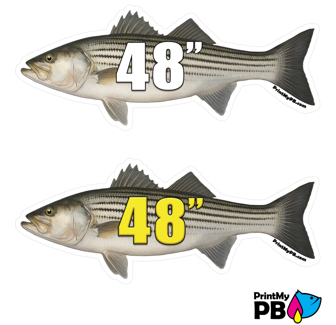 PB Fish Stickers - 2 STICKERS