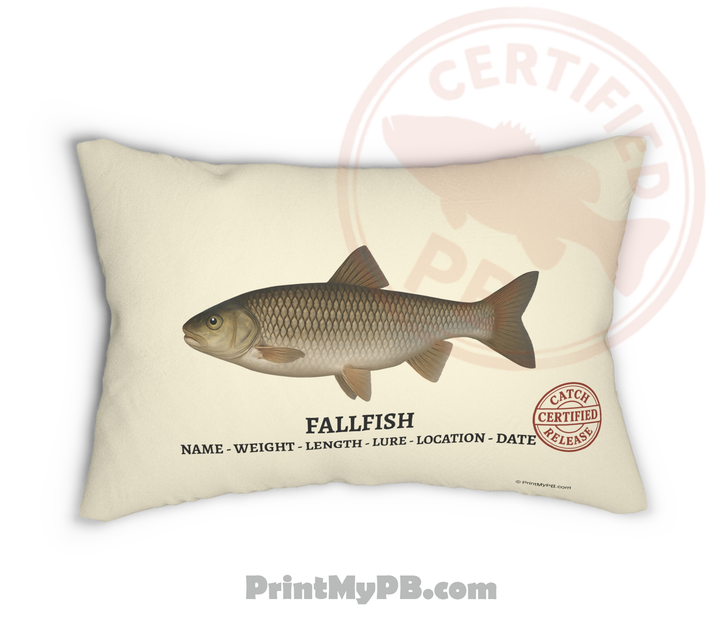 Custom Throw Pillow 20"x14"