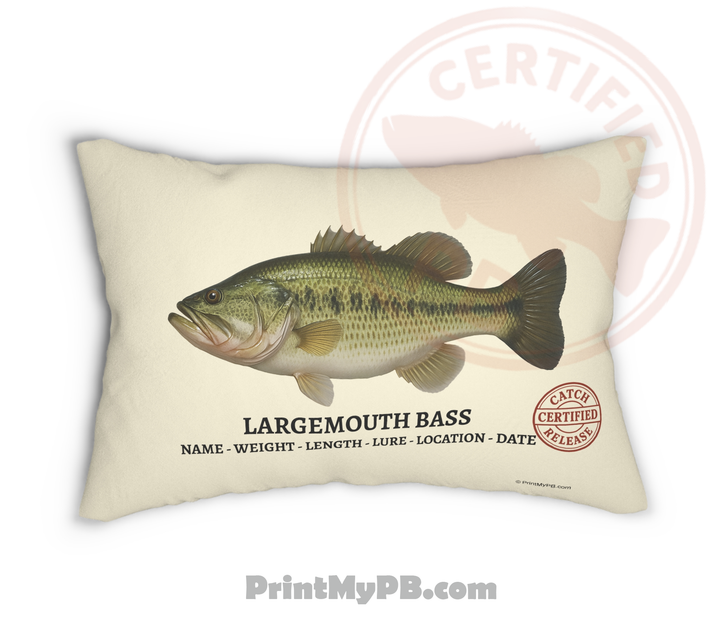 Custom Throw Pillow 20"x14"