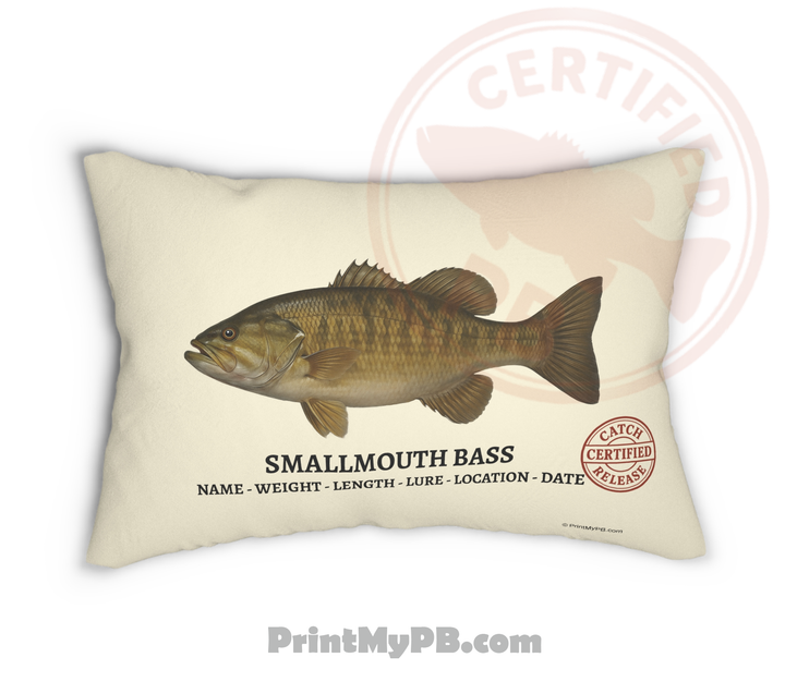 Custom Throw Pillow 20"x14"