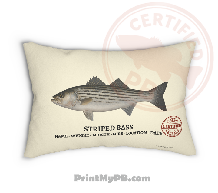 Custom Throw Pillow 20"x14"